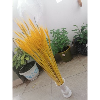 Bó bông lúa vàng tài lộc phong thủy (100 cây, 50cm)