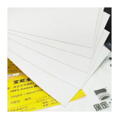 5 Tờ Giấy vẽ màu nước Baohong 300gsm, khổ A3 (37X27cm)