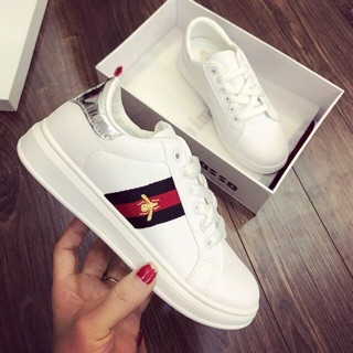 Thể thao Gucci ong dáng sneaker