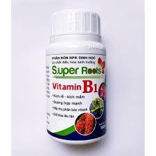 Phân Bón Lá Super Root B1 Kích Rễ - Kích Mầm - Giữ Hoa Lâu Tàn Cho Lan, Hoa Hồng, Hoa Kiểng