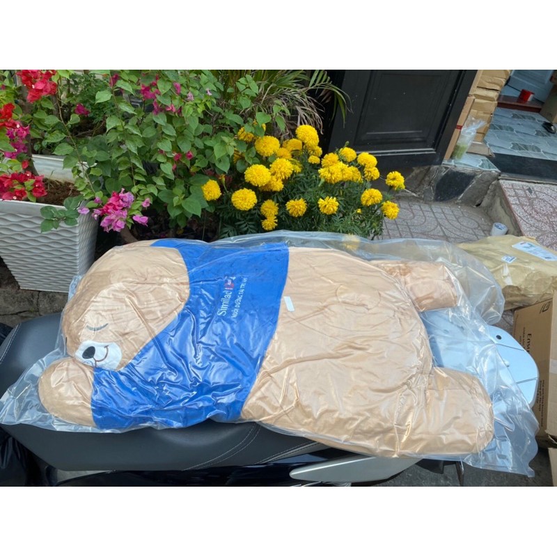 GẤU NHỒI BÔNG KÈM CHĂN DÀI 1M (HÀNG KM ABBOTT)