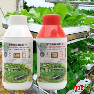 Cặp Dinh Dưỡng Thủy Canh Hidro Umat V Dùng Cho Rau Ăn Lá