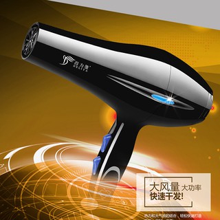 Máy sấy tóc công suất lớn hai chiều