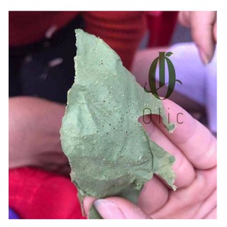 LỘT MỤN MATCHA OLIC