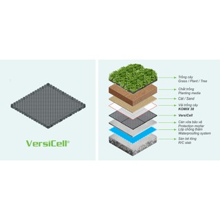 VERSICELL- Vỉ thoát nước ngầm, chống ngập úng mái sân vườn & cây trồng