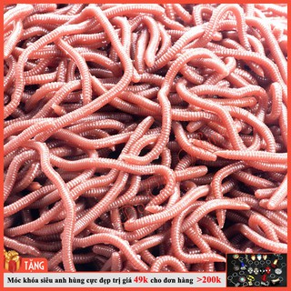[Mã DOCAUHOT giảm 10K] Giun Mềm Giả Mồi Câu Cá (50 Con) -  đồ câu minh lâm