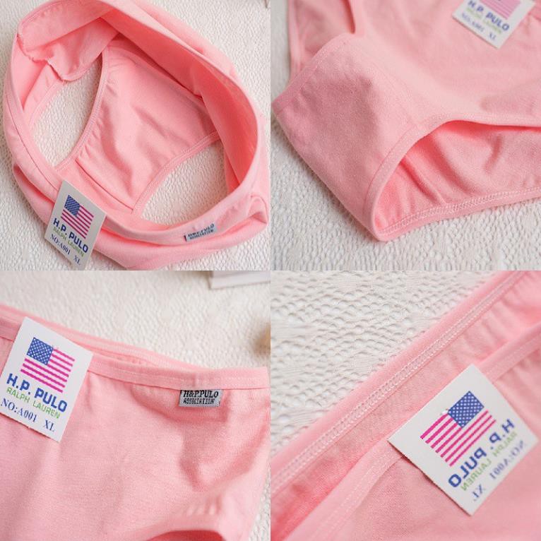  Quần lót nữ cotton xuất Mỹ có BIGSIZE siêu rẻ bền đẹp hàng tuyển chọn QL05 | BigBuy360 - bigbuy360.vn
