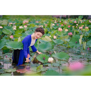 set tứ thân xanh