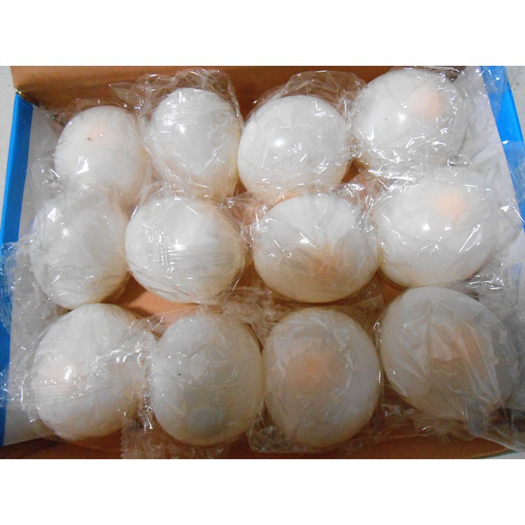 Đồ chơi GUDETAMA SQUIShY trứng bóp trút giận hình quả trứng gà trắng cực ngộ nghĩnh mochi slime