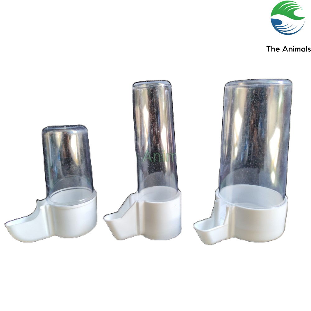 Các loại bình cấp nước tự động cho chim loại nhập khẩu (trắng)