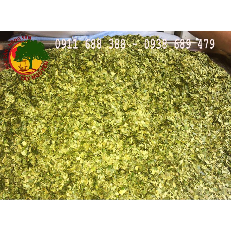 BỘT TRÀ XANH RẪY KON TUM 200GR