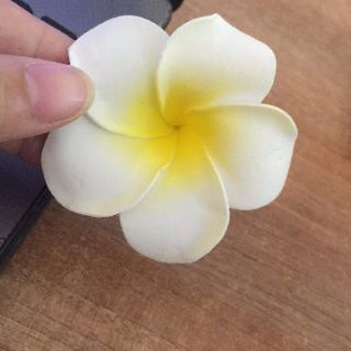 Hoa cài tóc đi biển đáng yêu