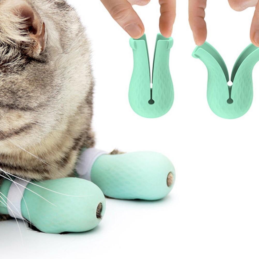 Bộ 4 giày bọc chân cho mèo chống trầy chống trượt điều chỉnh được