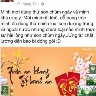 [Masa Q.9] Son màu handmade chùm ngây MoriS