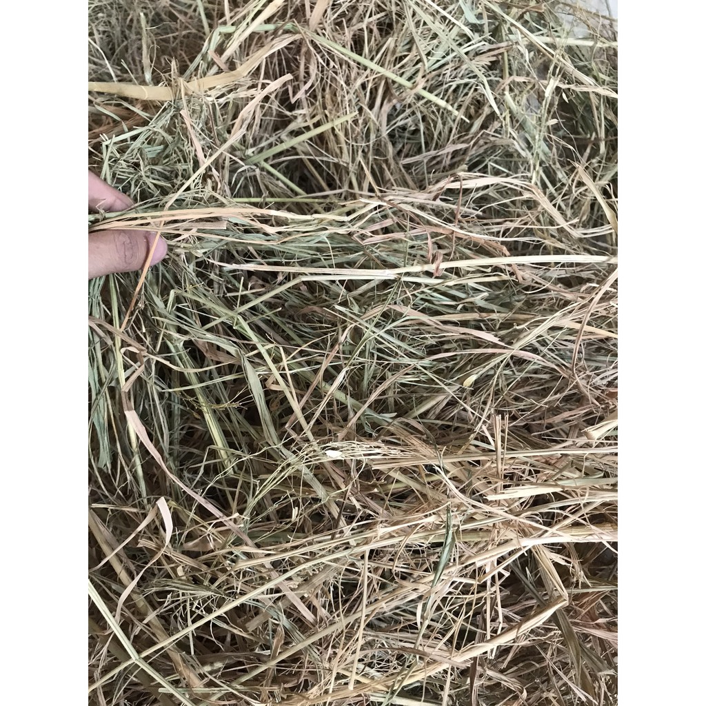 1kg Rơm Khô - Làm ổ cho pet, làm đồ decor nhà cửa, trồng rau/cây cảnh và ti tỉ công dụng khác