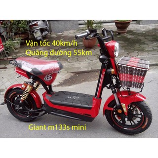 Giỏ mây dành cho xe đạp điện
