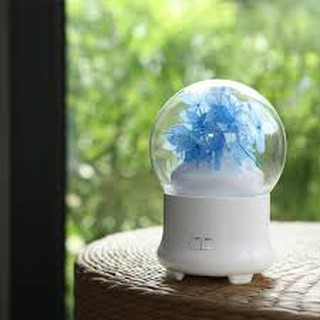 Máy Xông Tinh Dầu, may khuech tan phun sương tạo độ ẩm Tú Cầu 200ml với 7 màu đèn led