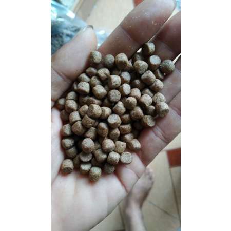 1kg cám cá Koi King feed 42% đạm