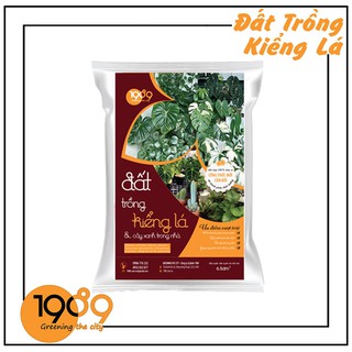 Đất trồng kiểng lá và cây xanh trong nhà 1989 6,5dm3