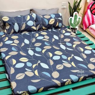 Ga gối cotton poly