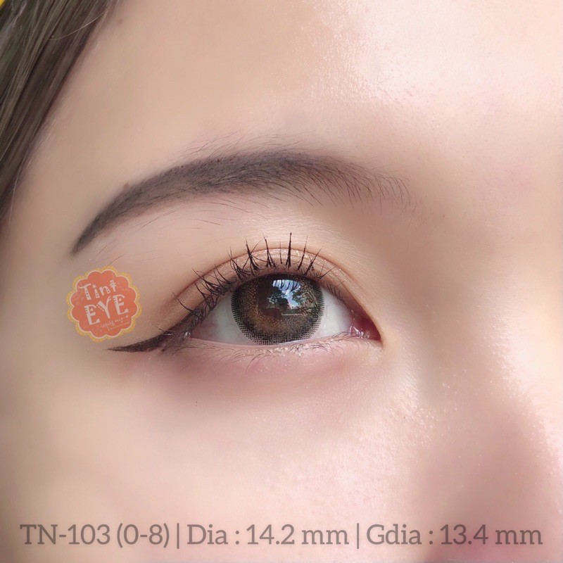 [Tặng Combo 175k] Kính Áp Tròng Tinteye Lens TN - 103 Nâu rêu