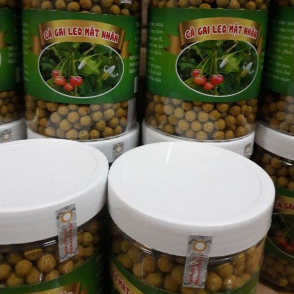 Cà gai leo mật nhân hộp 500g bổ gan, chữa các bệnh về gan