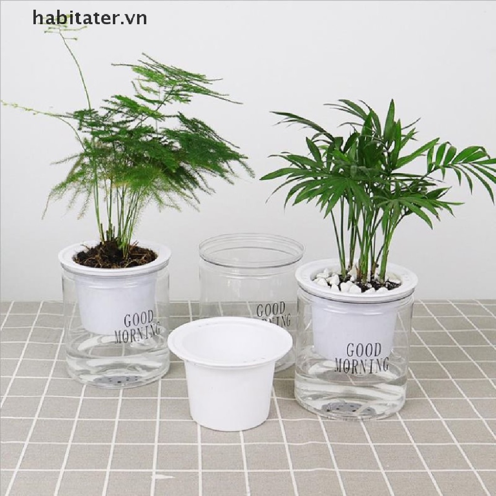 Chậu Hoa Thủy Canh Hấp Thụ Nước Tự Động Hình Tròn