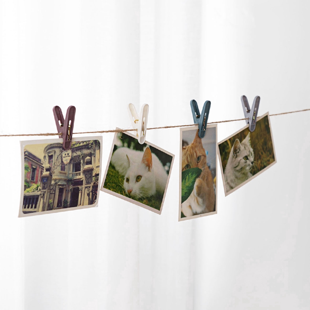 JUJIAJIA Set 24/40 Kẹp Phơi Đồ Bằng Nhựa Kèm/ Không Kèm Hộp Đựng