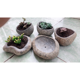 Chậu đá cuội tự nhiên size nhỏ - chậu sen đá chill corner decor