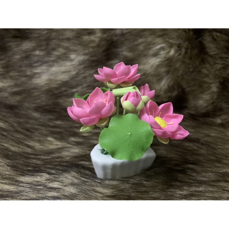 Chậu hoa sen đất sét mini L