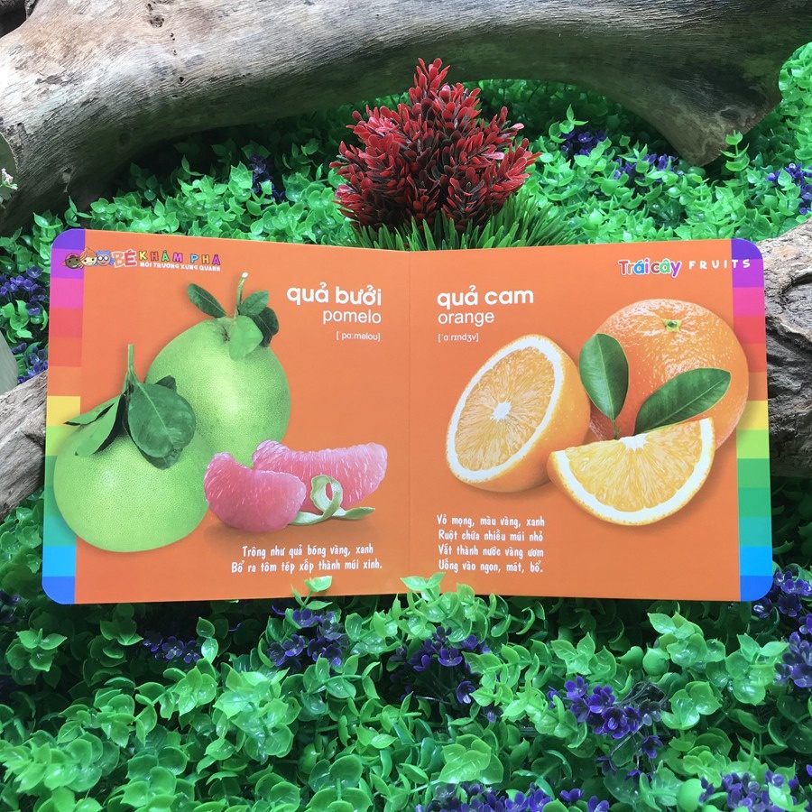 Sách- Combo:Bé Khám Phá Môi Trường Xung Quanh (8 TẬP)