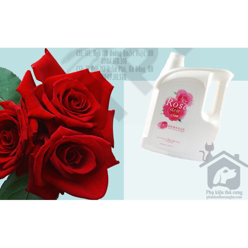 Sữa tắm cho chó mèo hương hoa - Joyce & Dolls Blom Sexy can 4L - phụ kiện thú cưng