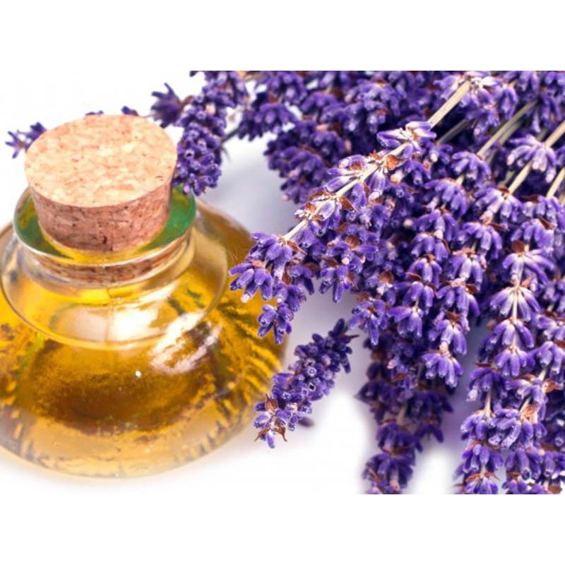 Tinh dầu Oải Hương 40/42  La Champa thiên nhiên 100% ,Tinh dầu lavender