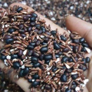 Trà gạo lứt đỗ đen