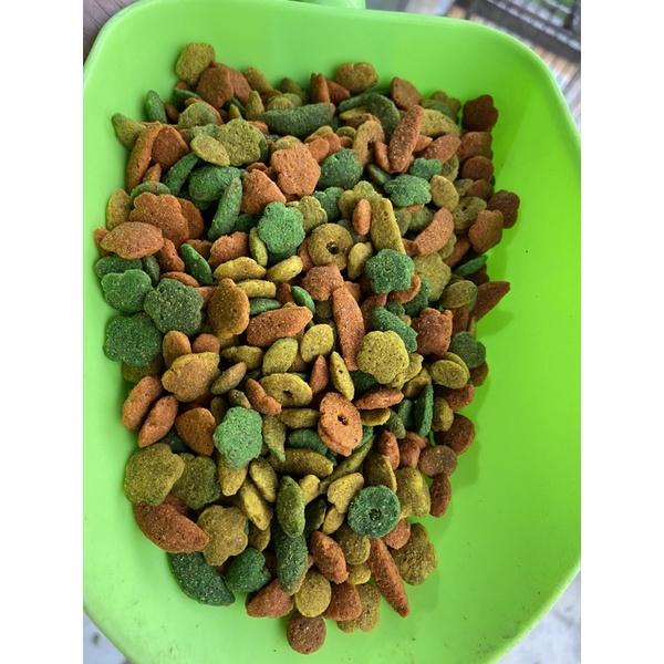 100g hạt trái cây cho vẹt date 03/2024.