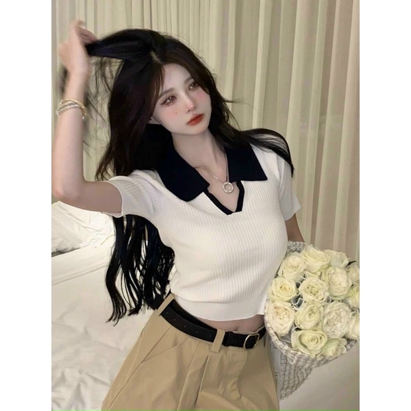 Áo thun gân cổ bẻ viền ☘️☘️☘️☘️SL alohashop91