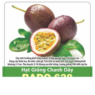 Hạt giống chanh leo thơm ngon, sai trái 20 hạt