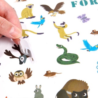 Sticker dán đi dán lại nhiều lần Mideer