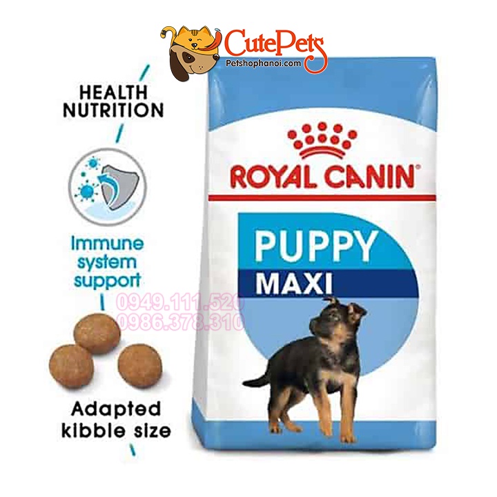 Hạt cho chó lớn Royal Canin Maxi Puppy 1kg - Phụ kiện thú cưng Hà Nội