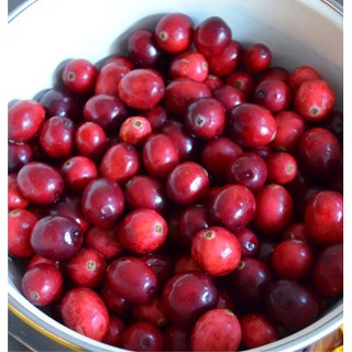 Hạt giống việt quất đỏ tặng kèm kích mầm