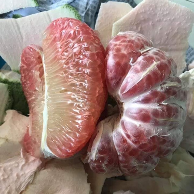 2 quả Bưởi da xanh Bến Tre ruột đỏ nặng 1,5kg đến 1,8kg mỗi quả ( giao siêu tốc HCM