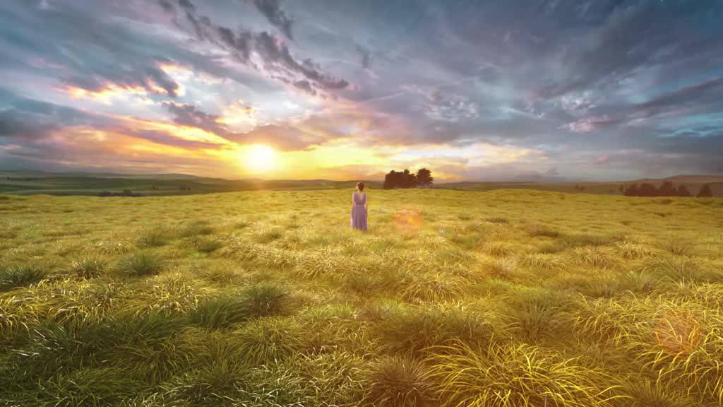 (MẪU MỚI) Phấn phủ Canmake (có bill mua hàng) nhật bản | BigBuy360 - bigbuy360.vn