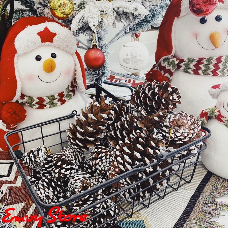 TRÁI THÔNG KHÔ PHỦ TUYẾT/ TRÁI THÔNG TRANG TRÍ