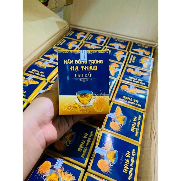 NẤM ĐÔNG TRÙNG HẠ THẢO CAO CẤP