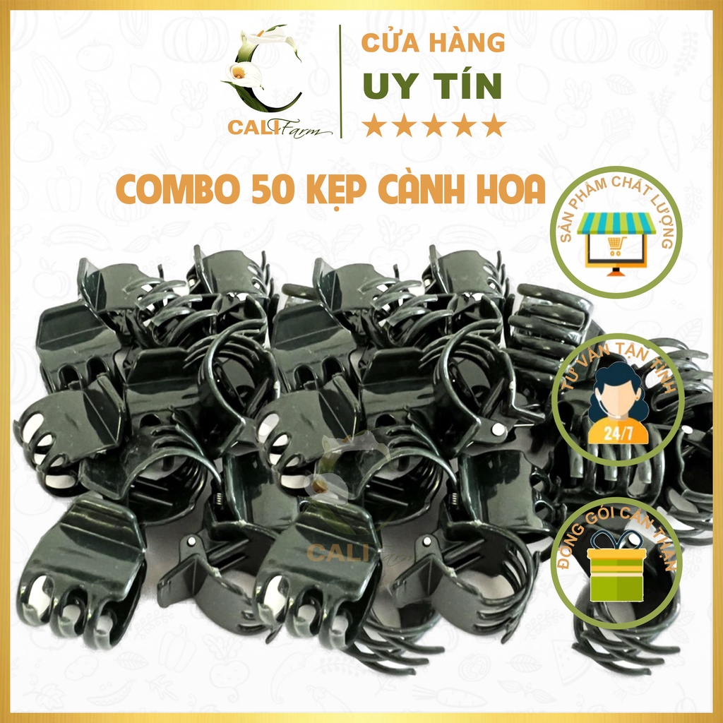 50 Kẹp Đại cố định cây lan, giúp cành Lan đứng vững không bị gãy gập