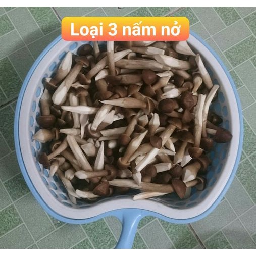 Nấm mối đen tươi Loại 3