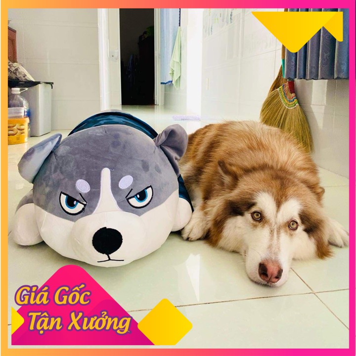 [Hoàn xu lên tới 50k xu ] Gấu bông husky béo 1m5