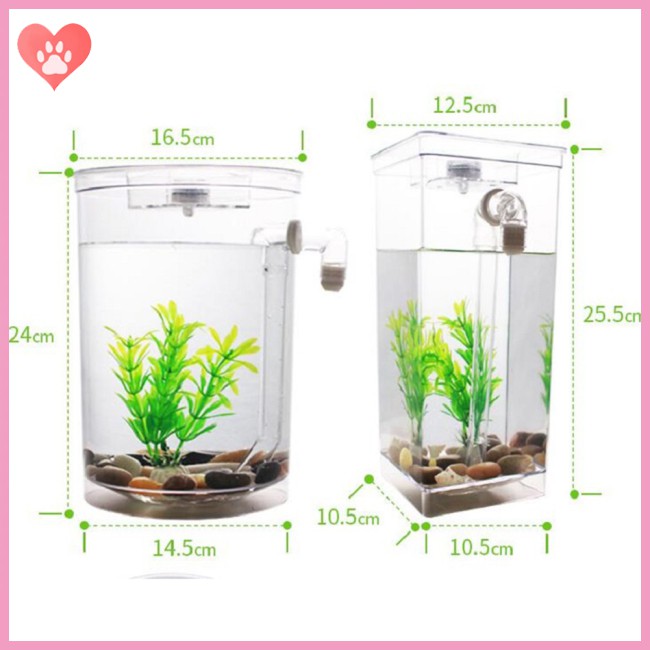 Ecological Fish  Bowl Slacker Desktop Case Self-cleaning Aquarium Mini Fish