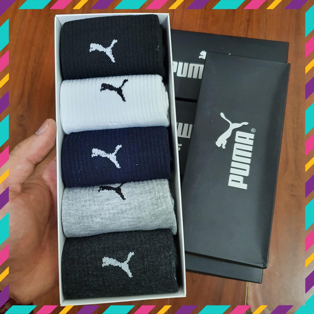 Vớ Nam Nữ PUMA FREE SIZE Tất Thể Thao phong cách bốn mùa dành cho nam và nữ, không bai gião HỘP QUÀ TẶNG