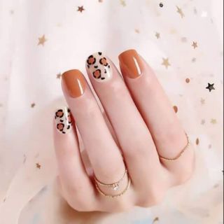Bộ 24 móng tay giả báo cam đất kèm keo